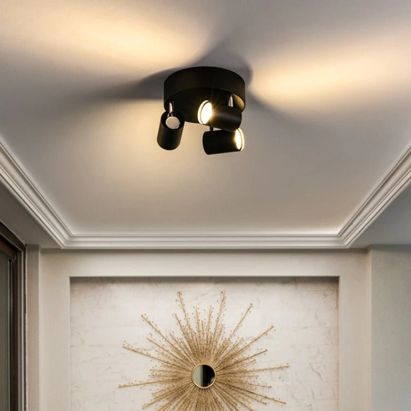 Ceiling Light | COEVO