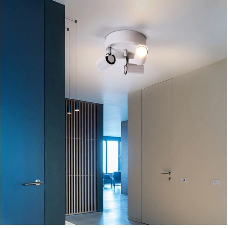 Ceiling Light | COEVO