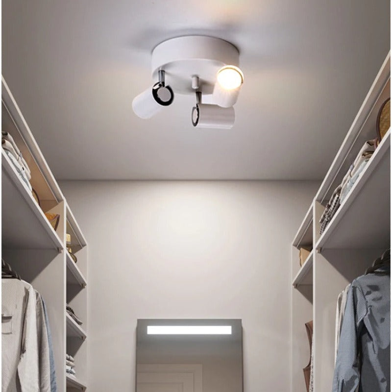 Ceiling Light | COEVO